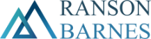 Business Systems and Data Analyst Logo