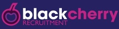 Public Affairs Account Manager – Account Director Logo